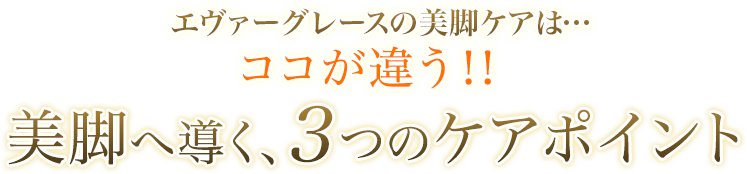 エヴァーグレースの美脚ケアは…ココが違う！！美脚へ導く、３つのケアポイント