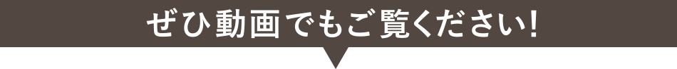 ぜひ動画でもご覧ください！