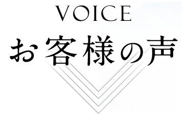 voice